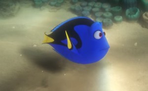 dory