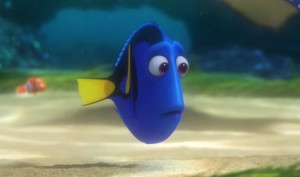 dory