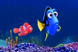 dory-image