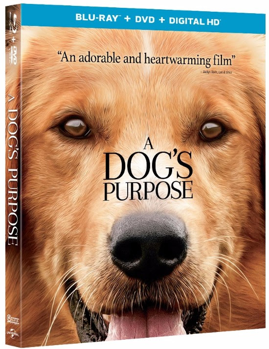 a dogs purpose cast